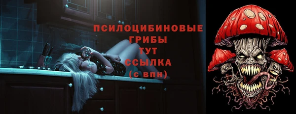 твердый Костерёво