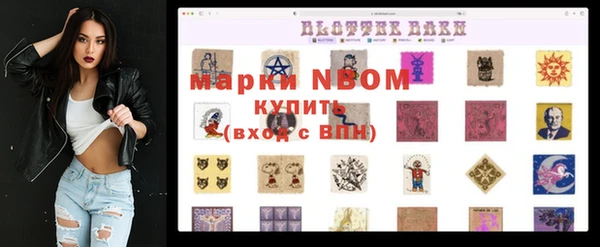 спайс Корсаков