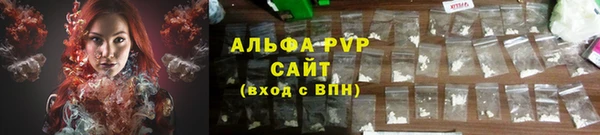 спайс Корсаков