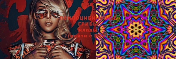 спайс Корсаков