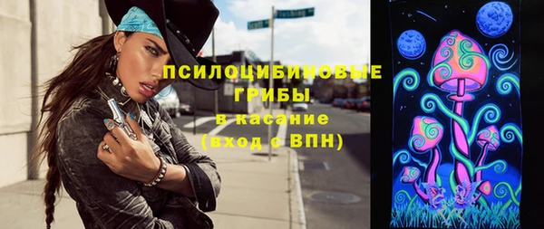 спайс Корсаков