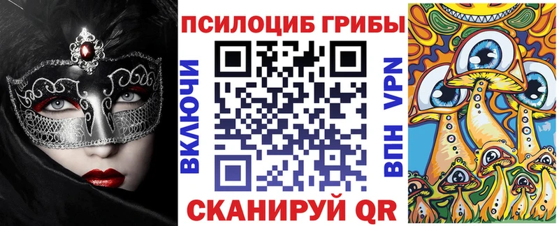 Псилоцибиновые грибы Cubensis  Купить  Лосино-Петровский 